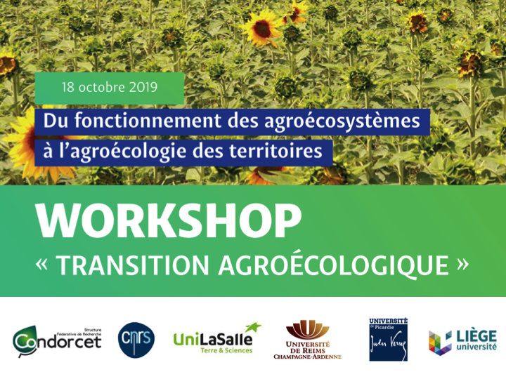 Présentation du projet phytEO dans le cadre du workshop dédié à la transition agroécologique « du fonctionnement des agroécosystèmes à l’agroécologie des territoires » qui a eu lieu le 18 octobre 2019 à Beauvais.